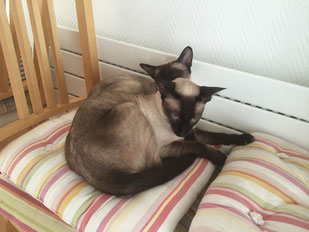 Isis et son fils, Jules.