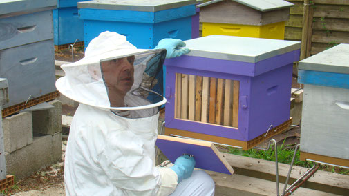 Chambres-d'hotes-la-laiterie-jean-devant-une-ruche