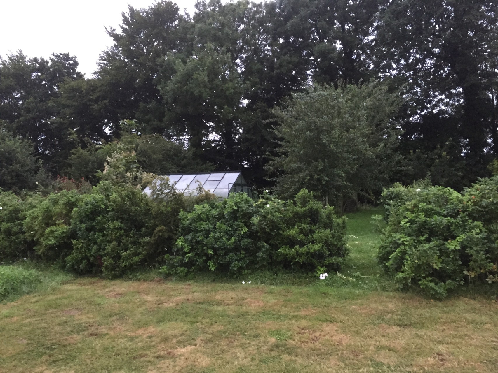 Le passage vers le champ acquis le 28 février 2015.