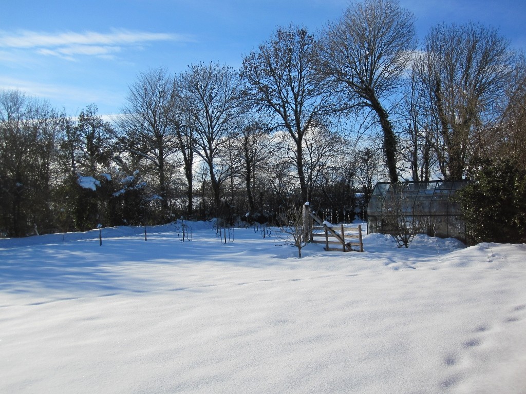 Le jardin sous la neige