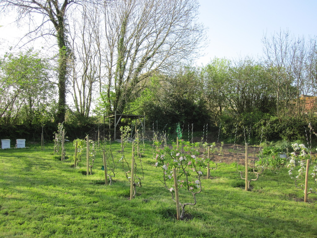 Le verger à la sortie de l'hiver.
