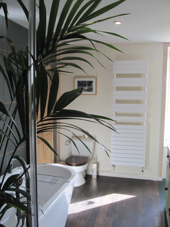 Vue du W.-C. qui n'est pas séparé. Il était déjà là lors de l'achat de la maison.