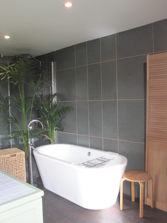 Baignoire et douche.