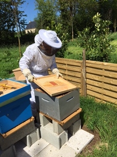 Jean travaillant au rucher.
