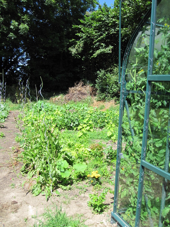 Le potager.