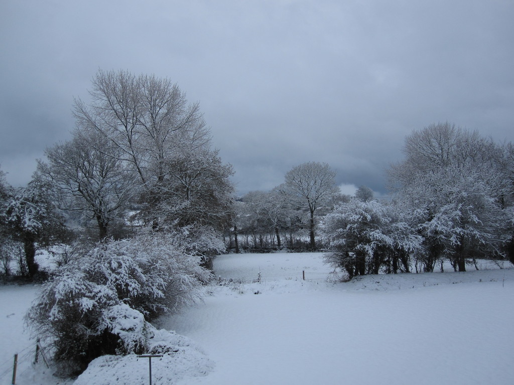 Le jardin sous la neige.
